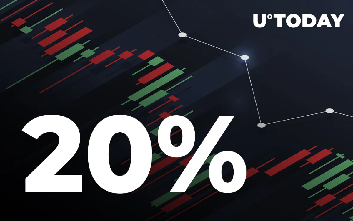 Near Protocol Spikes 20%; Here Are Three Reasons for Increase