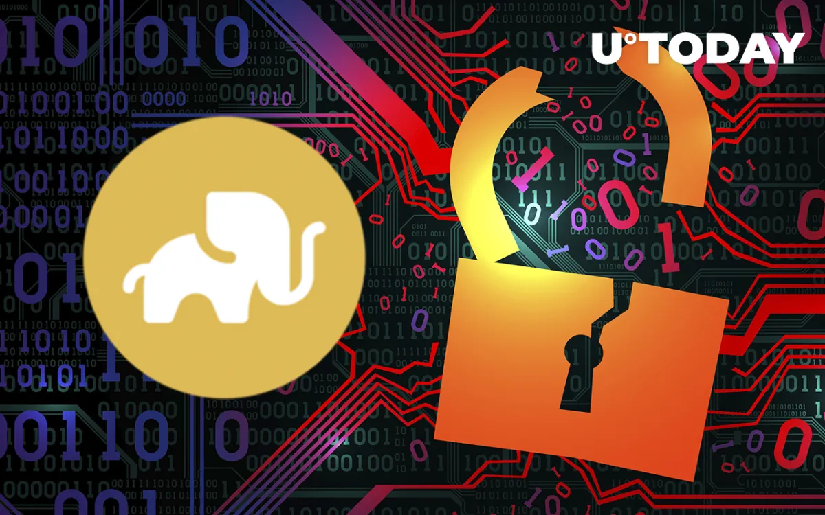 Elephant Money DeFi Hacked, Are Funds SAFU?