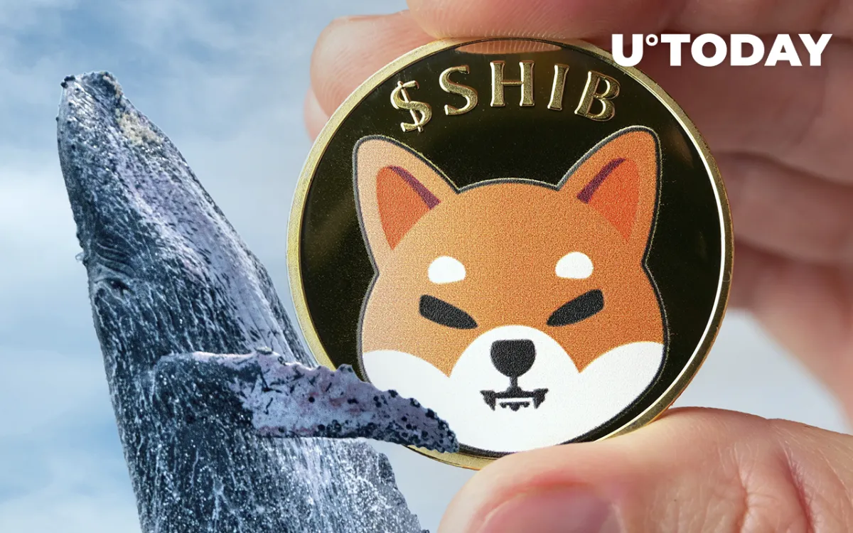 243.6 Billion SHIB Scooped Up by Whales as Token Recovers from Recent Fall
