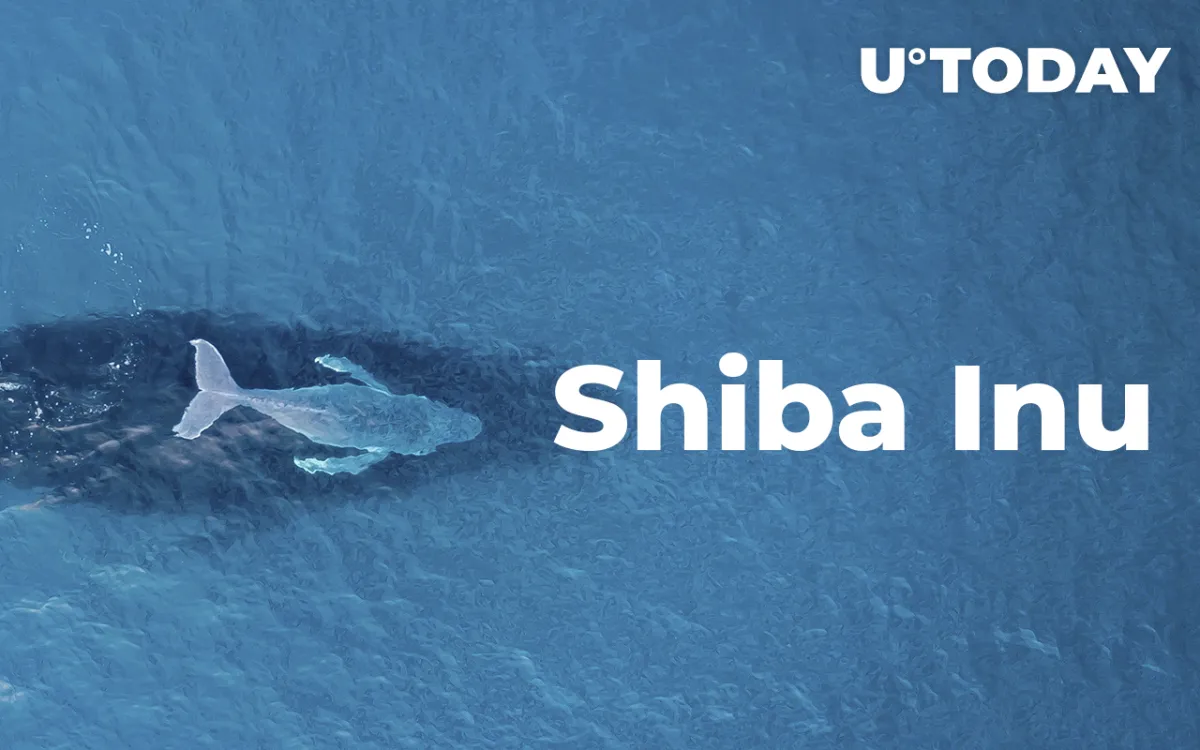 3 Reasons Why Some Ethereum Whales Constantly Buy Shiba Inu Tokens