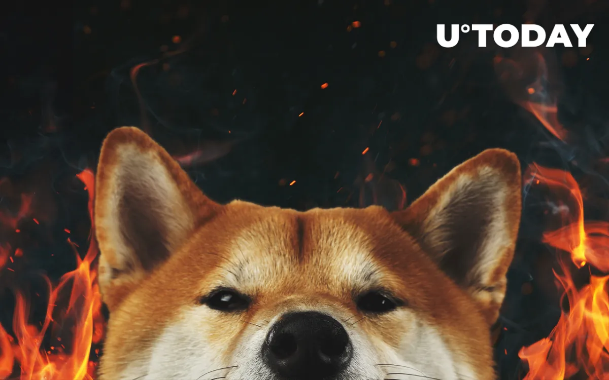 Welly to Join Shiba Inu Burning Bandwagon
