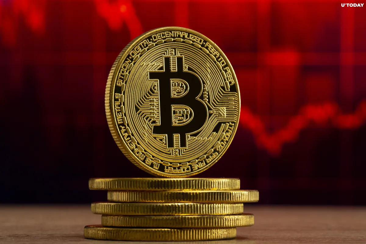 Shiba Inu, Dogecoin, Cardano Slump as Bitcoin Drops to $44K