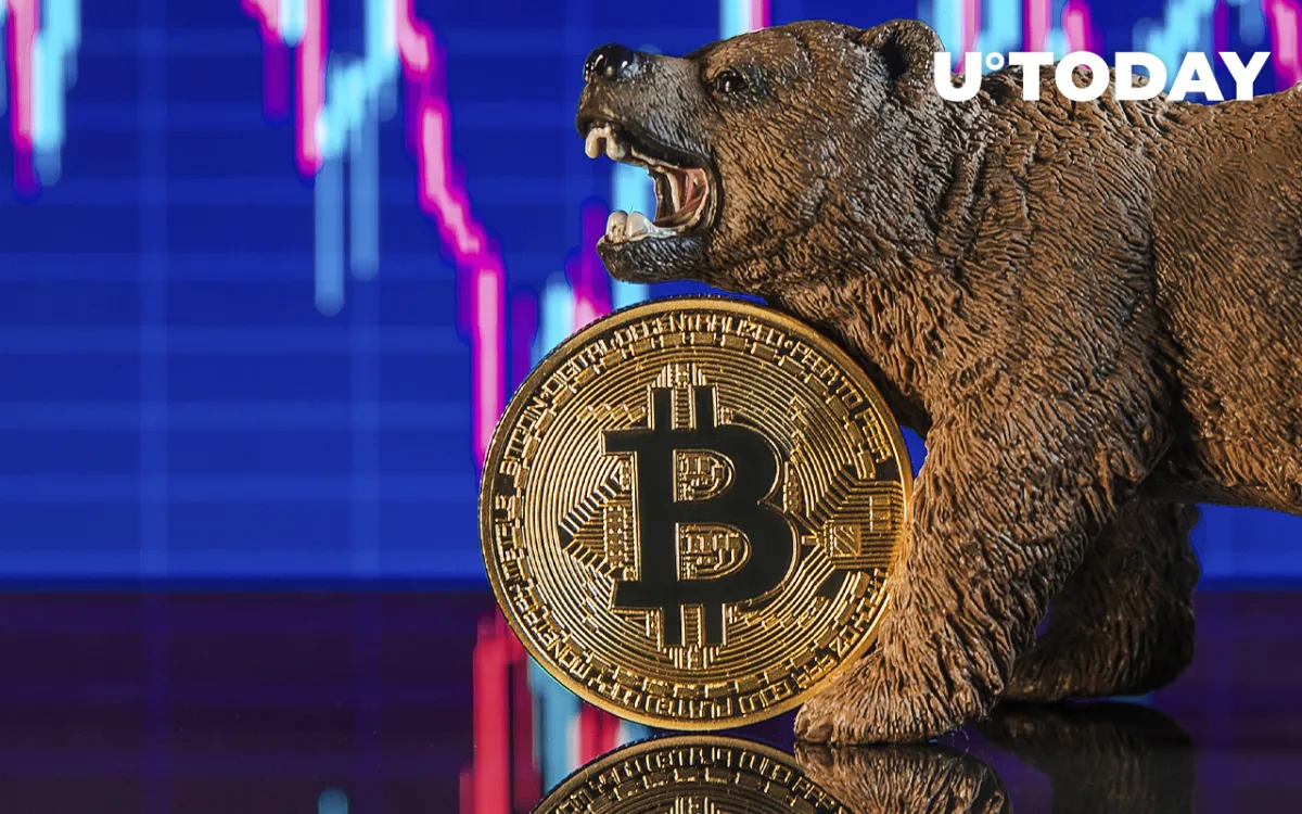 Crypto Execs Think Bear Market Is Good for Industry 