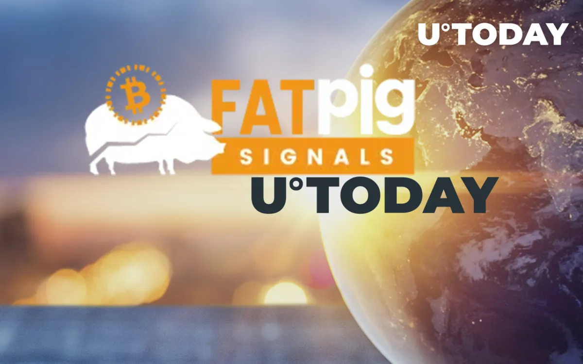 Fat Pig Signals Service Starts Broadcasting U.Today Content in Newsfeed