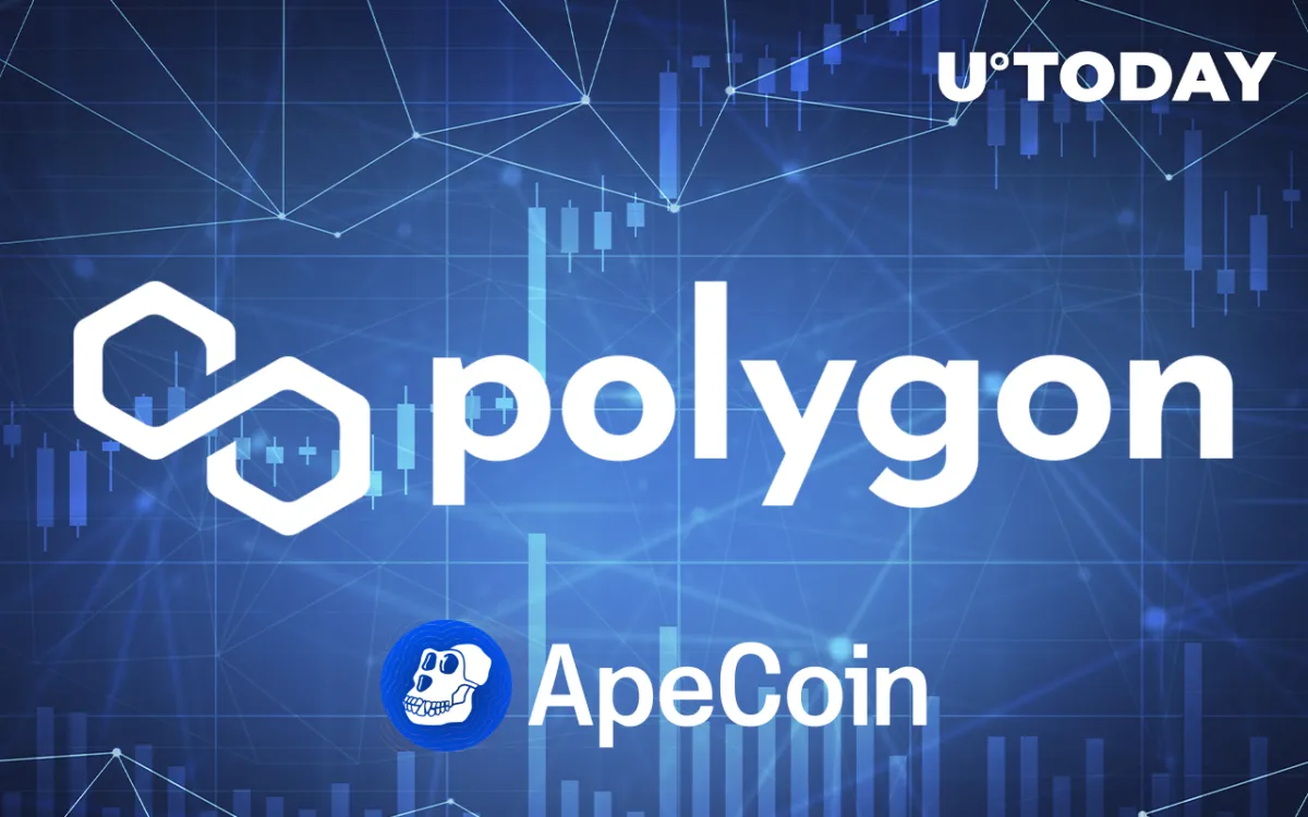 Polygon Now Supports ApeCoin with access to 19,000 dApps