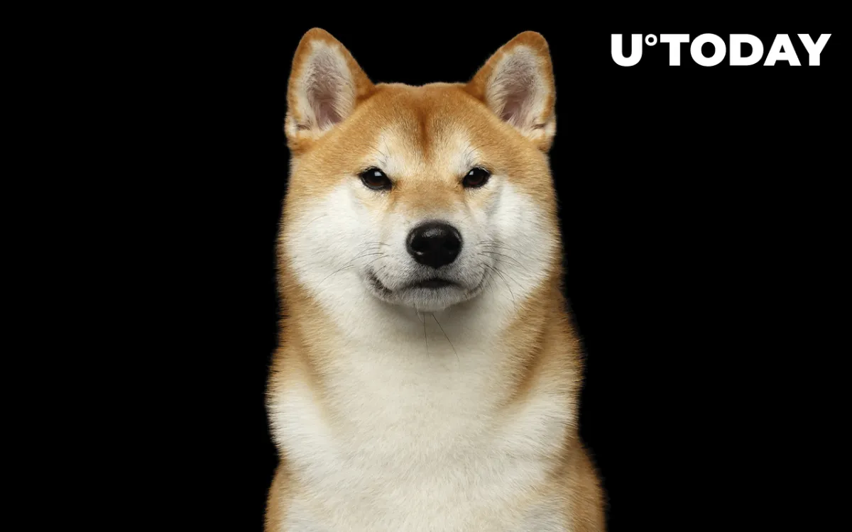 Shiba Inu Can Now Be Used to Purchase Land in SHIB's Metaverse: Details