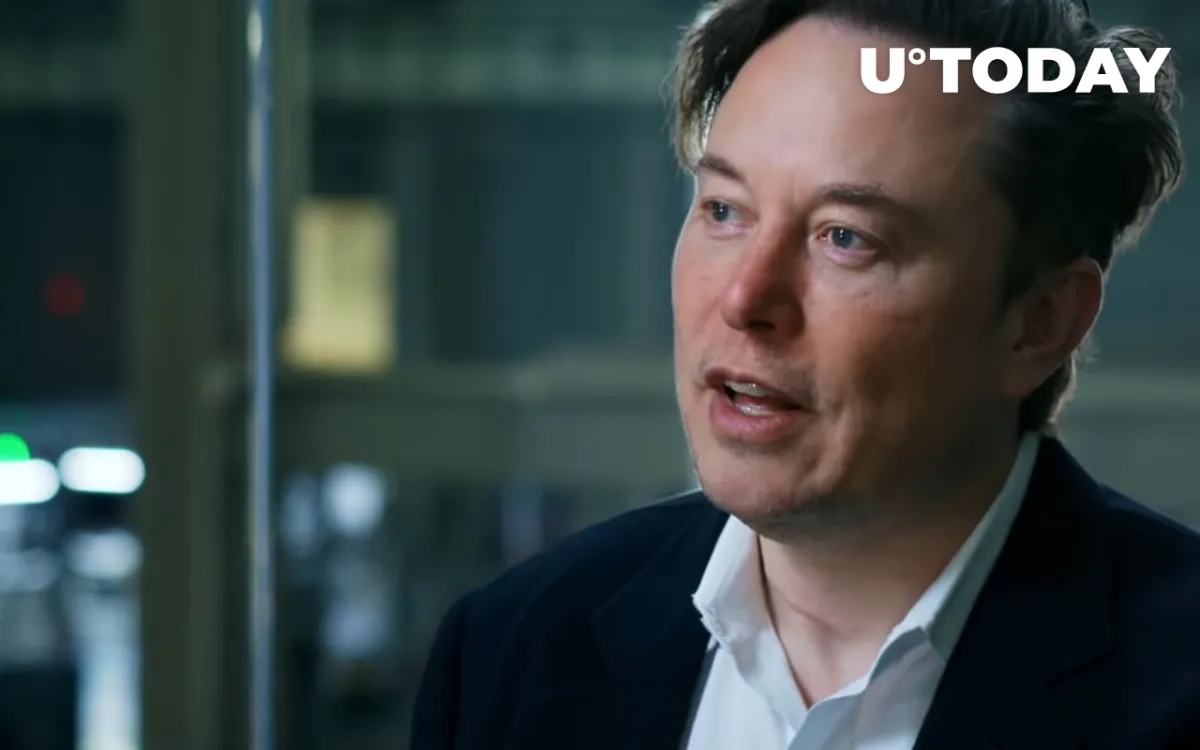 Elon Musk's Twitter Profile Picture Now Features Bored Apes – "Seems Kind of Fungible"