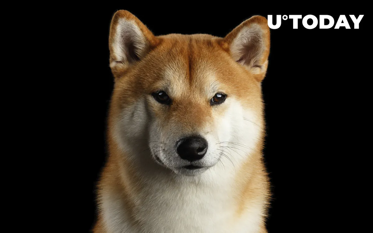 Shiba Inu Holders Increase in Number, Price Nears Historic "Buying" Zone