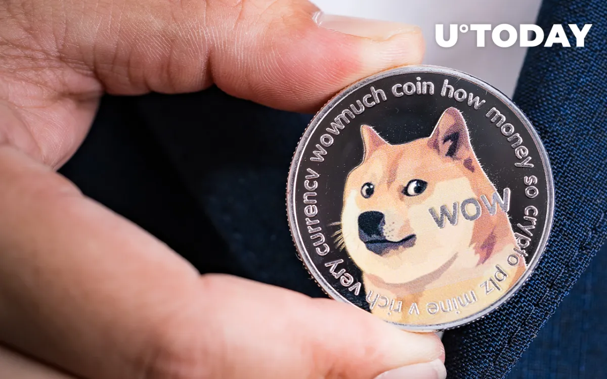 Dogecoin Profitability Increases to 53%, On-Chain Signals Hint at Bullish Indications