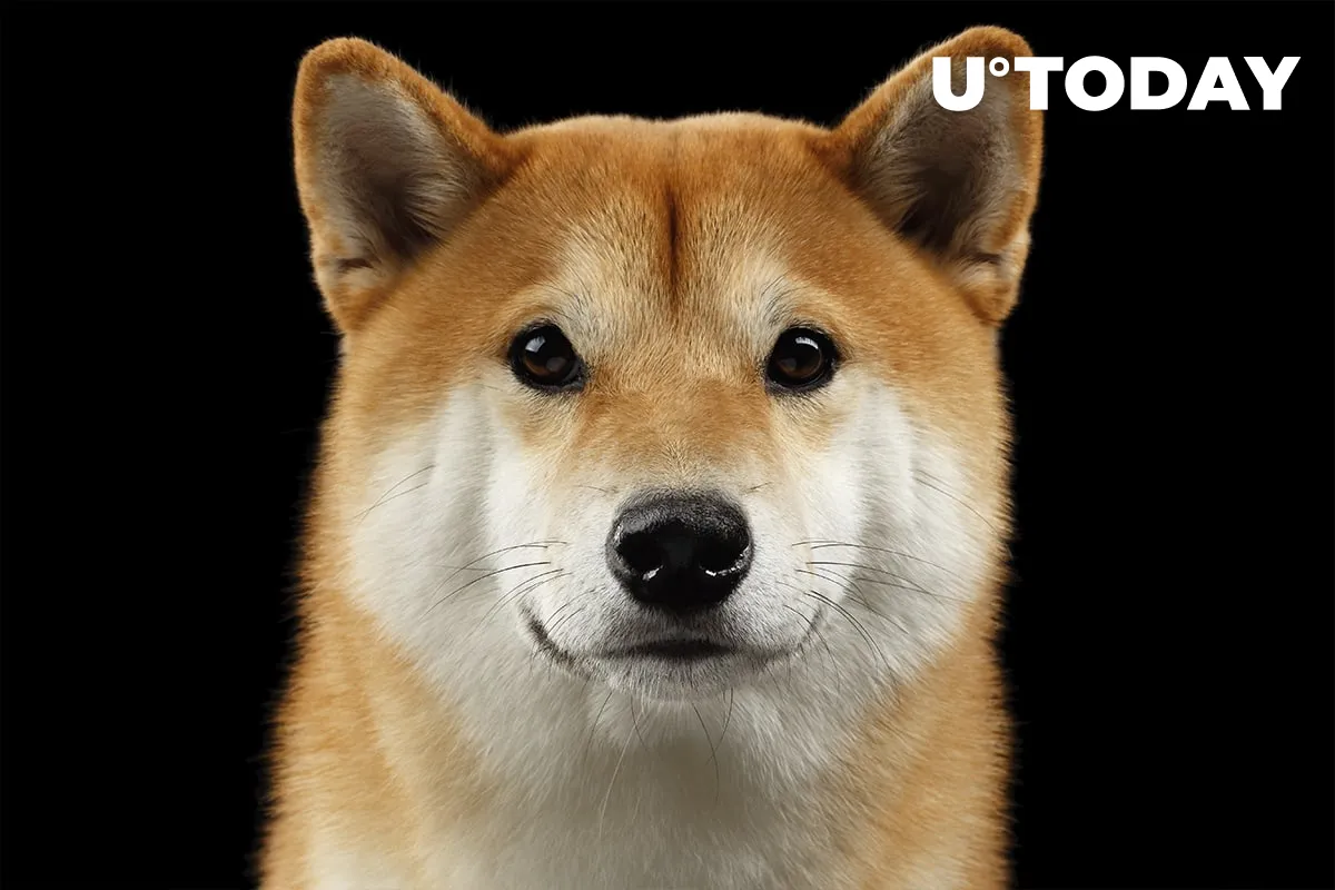 Here's How Dogecoin Has Fared Since Hitting Its Current ATH One Year Ago 