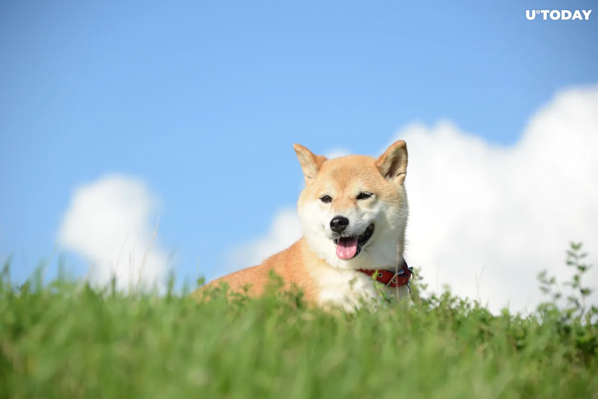 Shiba Inu About to Surpass Terra's LUNA After Double-Digit Price Spike