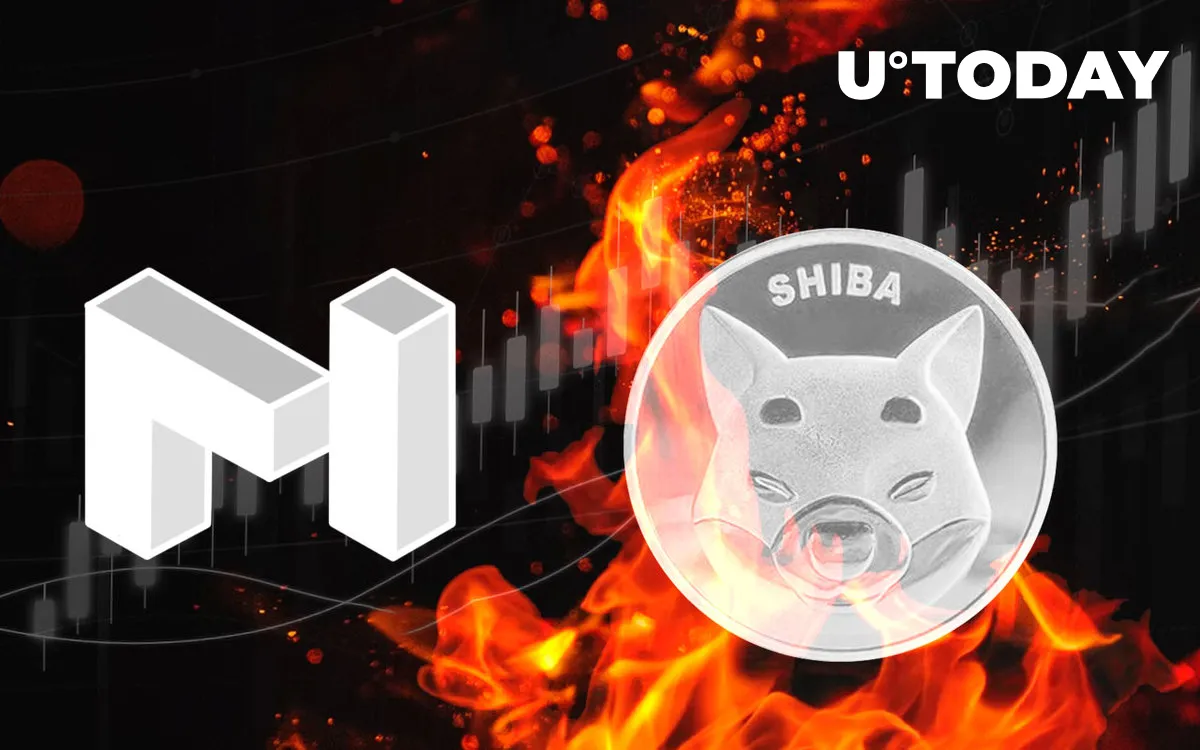 Shiba Inu Burned Coins Exceed Market Cap of MATIC with $4 Billion Worth of Tokens Destroyed