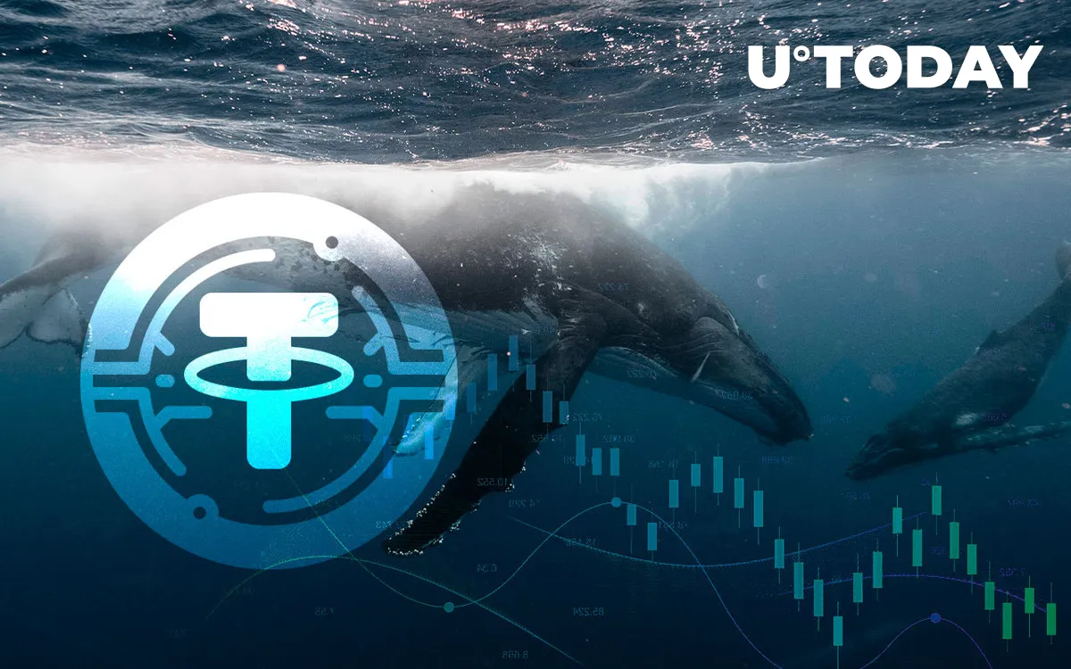 This Is Why Cryptocurrency Market Can't Go Up: Tether Whales' Supply