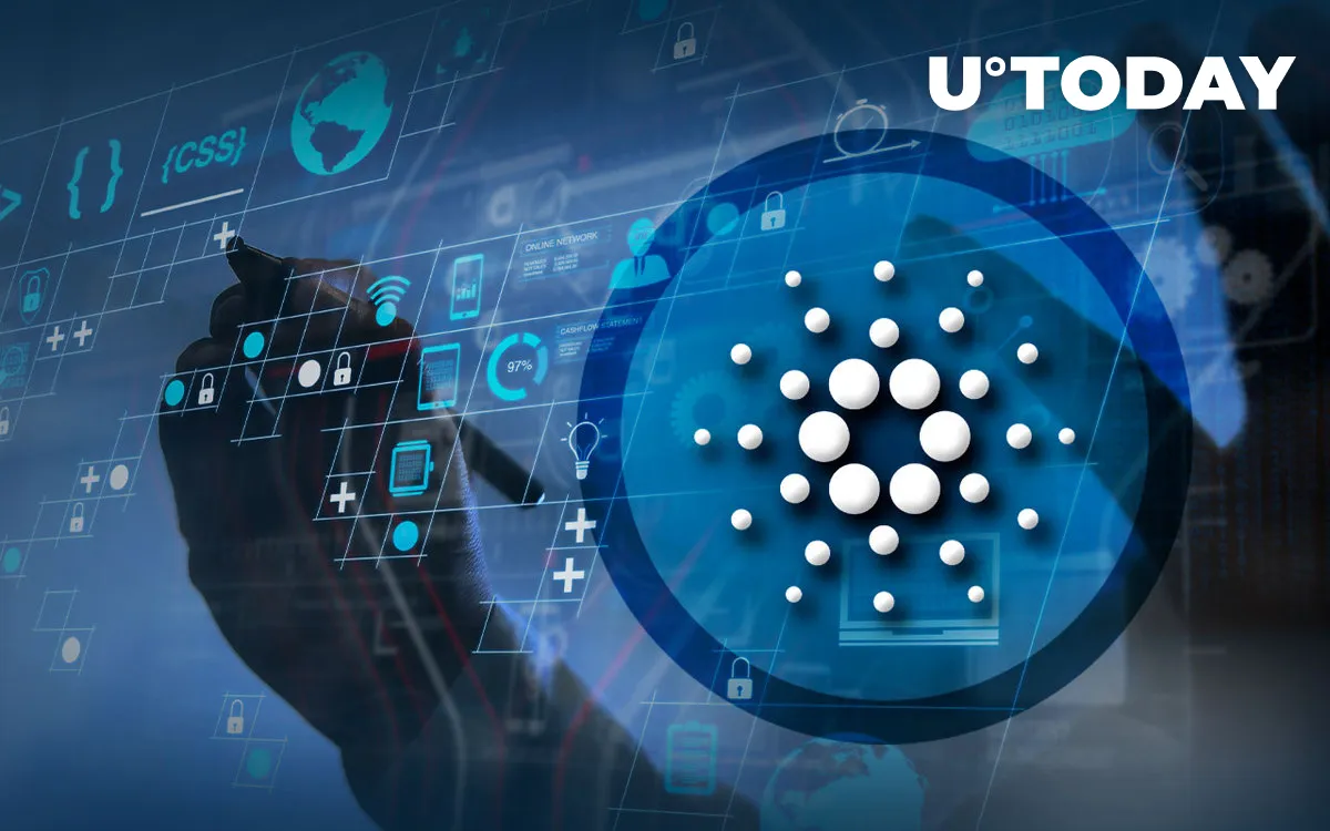 Cardano Leads in Daily Development Activity, Data Reveals
