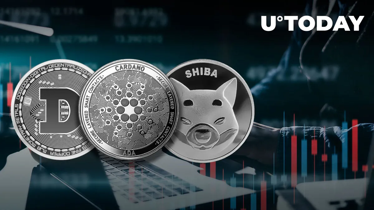 Cardano, Dogecoin, Shiba Inu Post Significant Gains as Traders Envisage 'Long-Term Breakout'