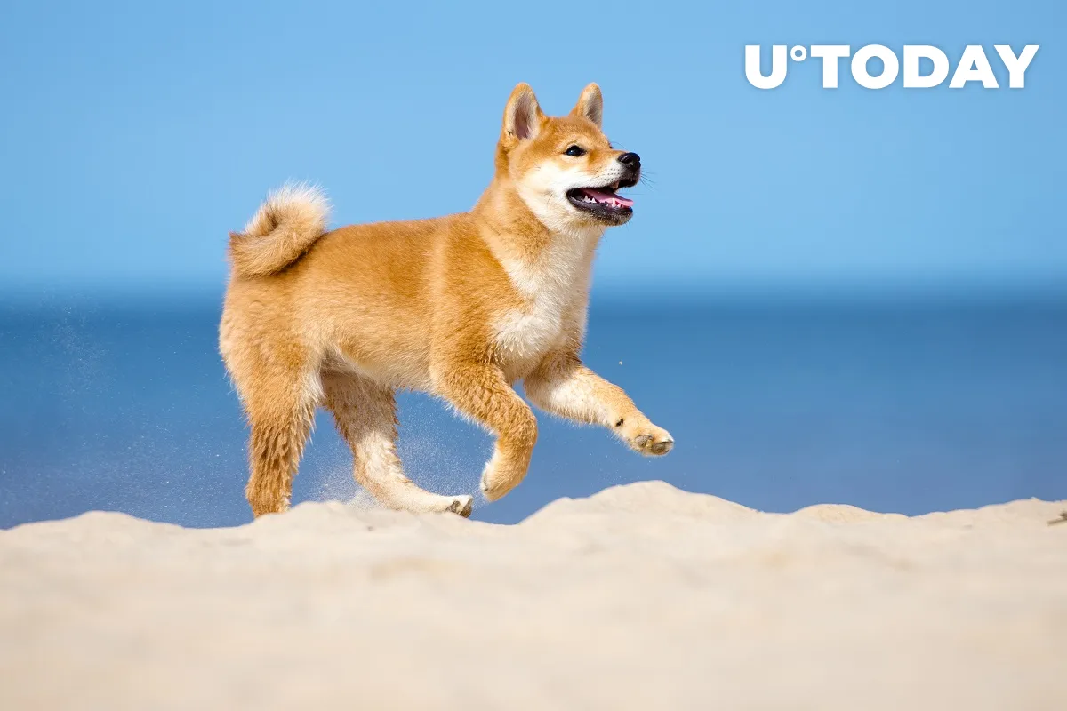 Shiba Inu Holders Can Now Enjoy Free Shipping on This E-Commerce Platform 