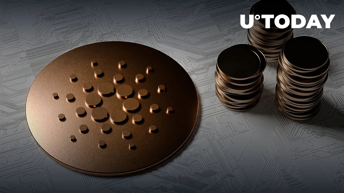 BTC Maxi Mike Alfred Reveals 10 Million ADA Holdings Bought in 2018