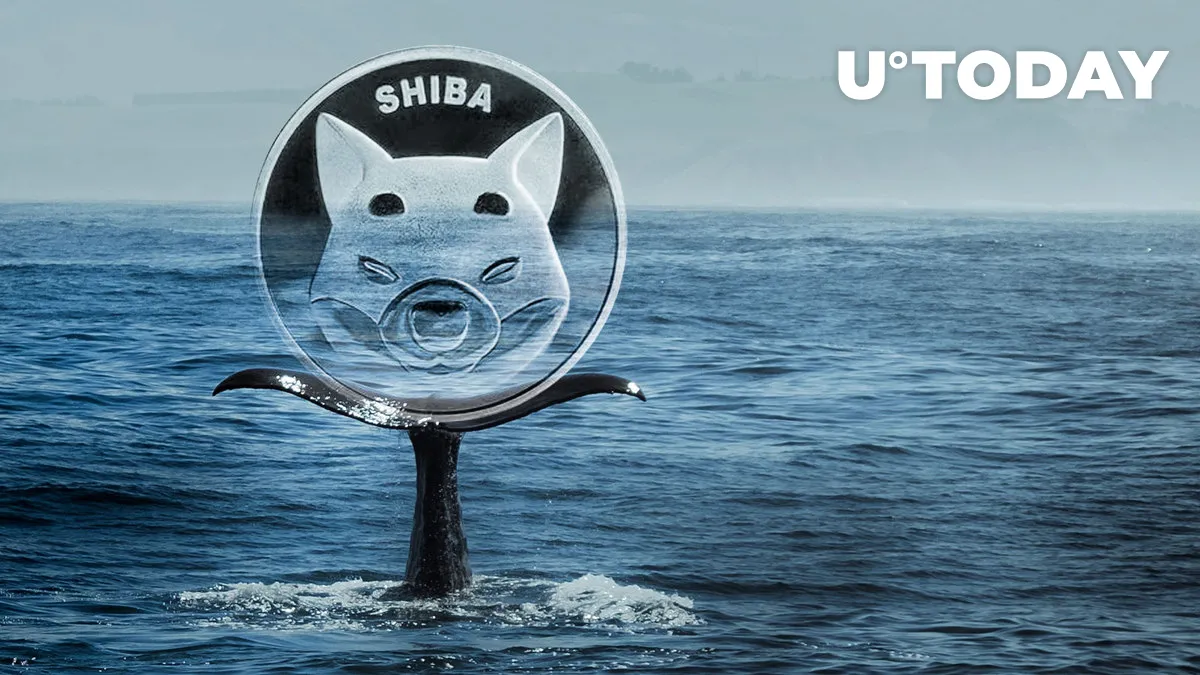 52.4 Billion SHIB Grabbed by This Whale in Single Chunk