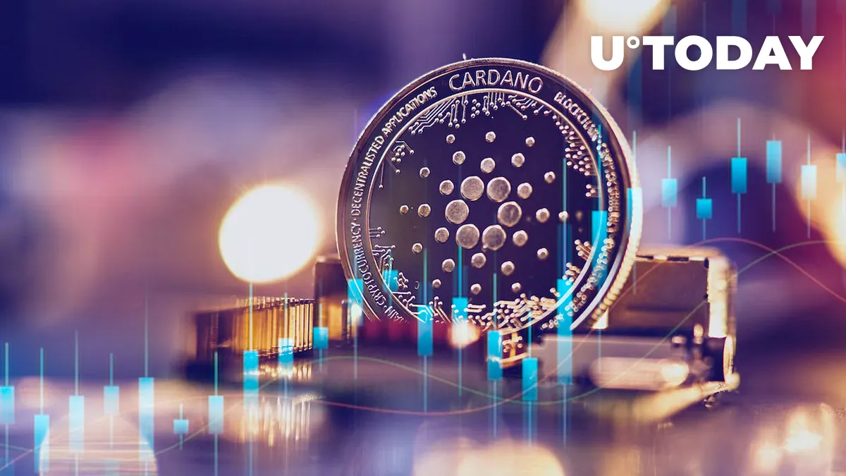 Here's Who Is Buying Cardano, Dogecoin Drawdown as Market Declines Continue