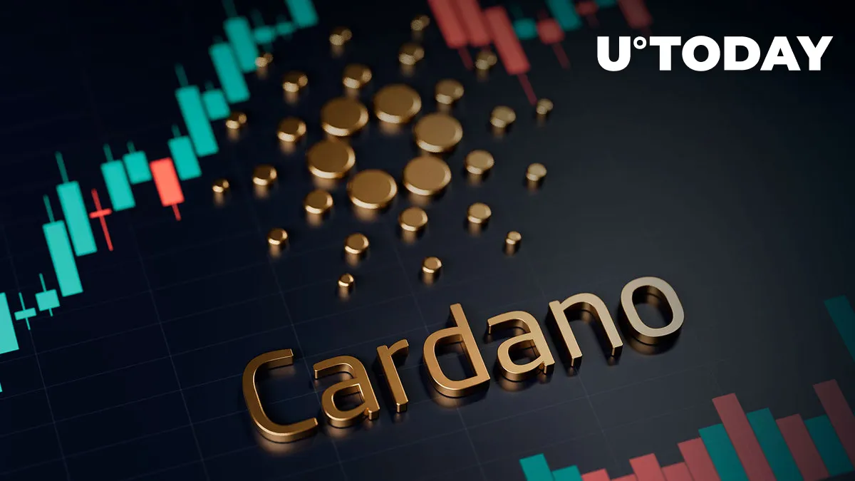 Cardano Developer Community Reaches New Growth Levels: Details