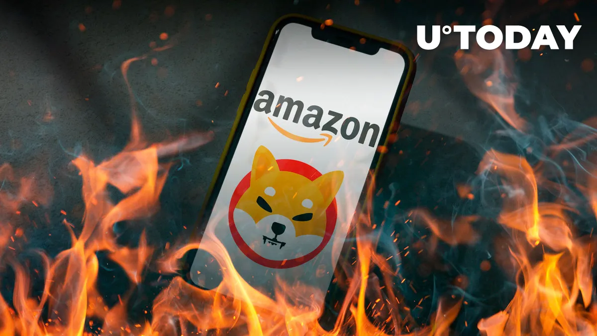 Amazon "Remains Strong" for Burning SHIB: Innovative SHIB Burner