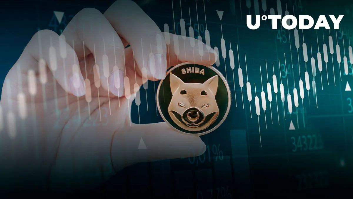 Shiba Inu Large Holders Might Be Timing Market as Transactions Suddenly Spike 84%