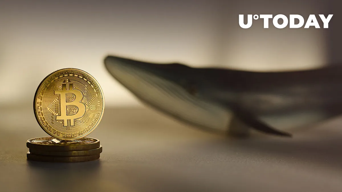 Whales Suddenly Interested in Bitcoin's Fork, Bitcoin Cash: Details