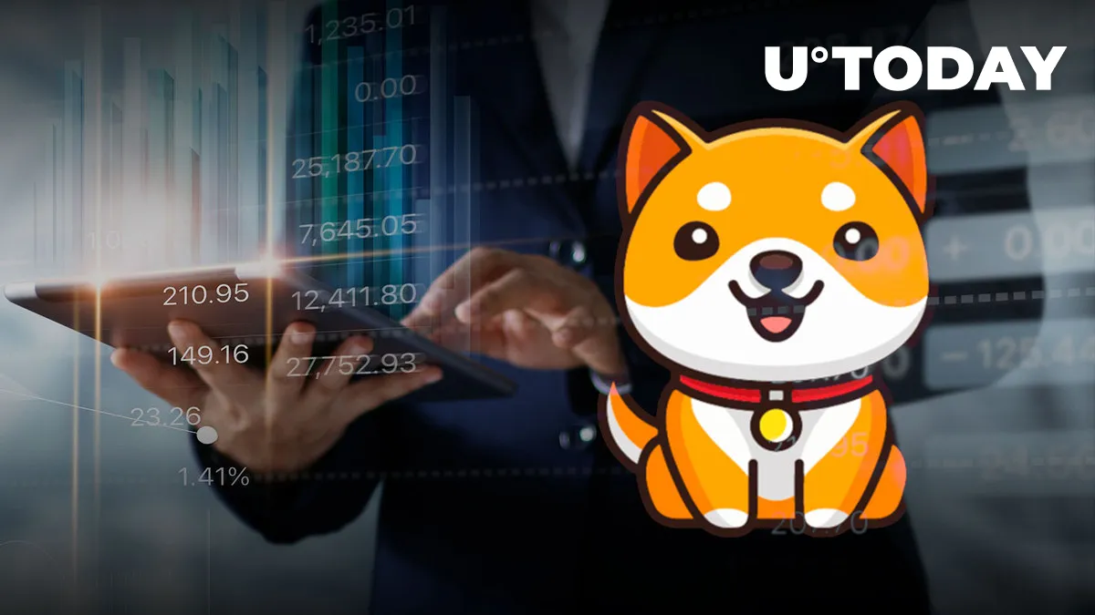 BabyDoge Forms Odd Reversal Pattern, Could Be Aiming at 50% Reversal