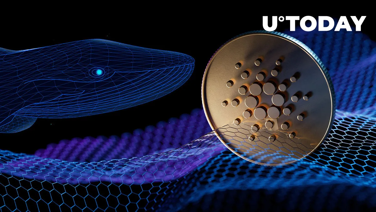 Whales Shifting Attention to Cardano Amid Vasil Optimism: Details