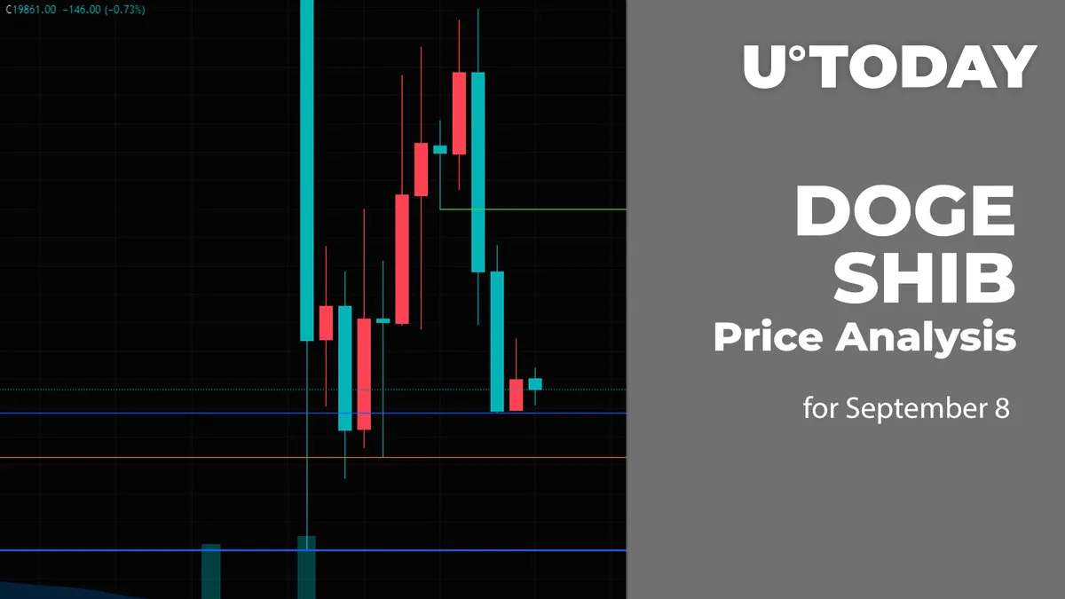 DOGE and SHIB Price Analysis for September 8