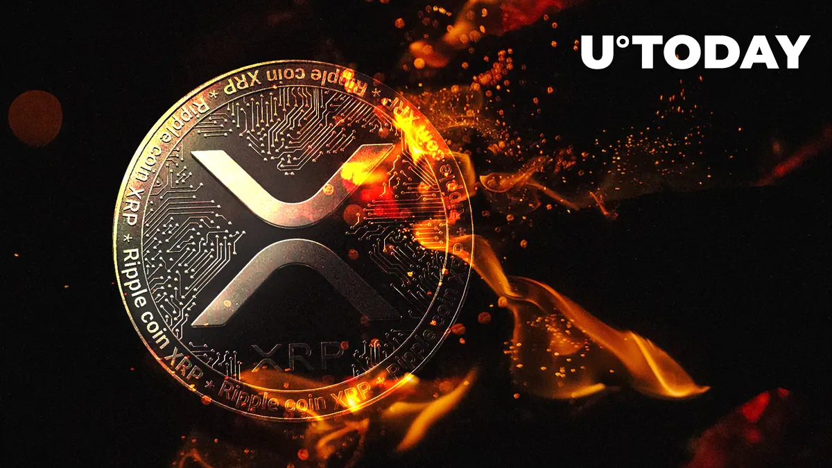 636 Million XRP Moved by Ripple and Whales as XRP Rises 7% in Past Week