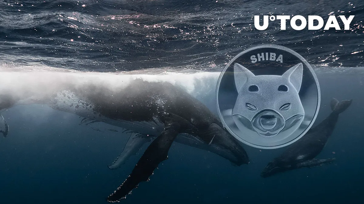 Whales Dump Record 1.2 Trillion SHIB, Here's How They Wanted to Benefit Here