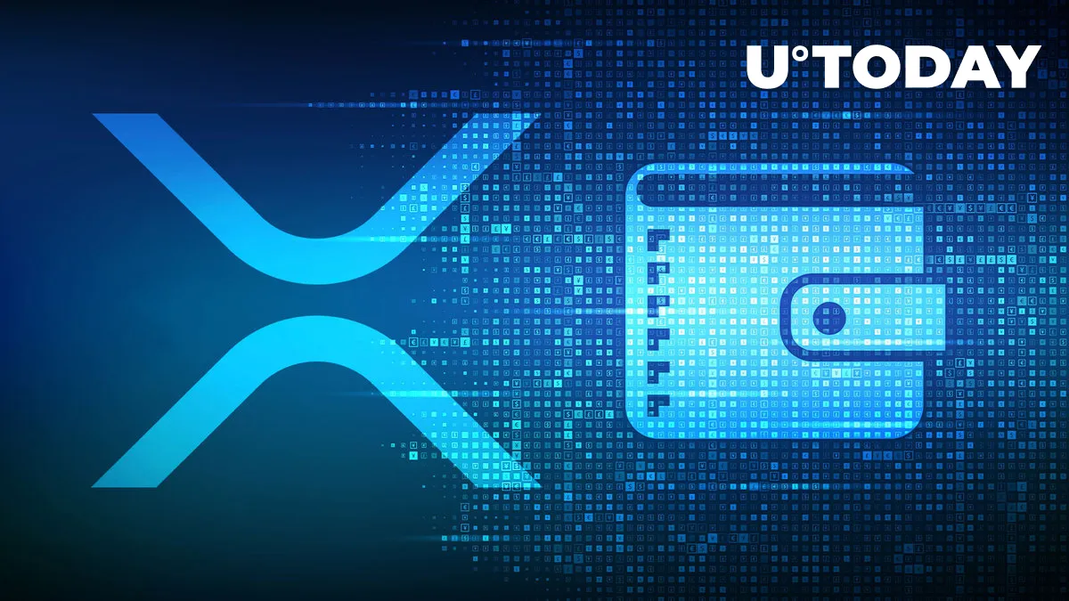 Ripple Shovels 50 Million XRP to Anon Wallet, Here's What It Means for Market