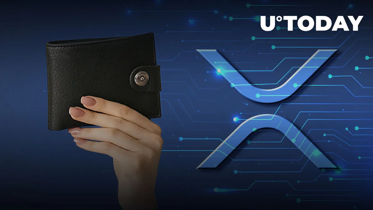 Anon Wallets Move 185 Million XRP, Here's What May Be Behind This