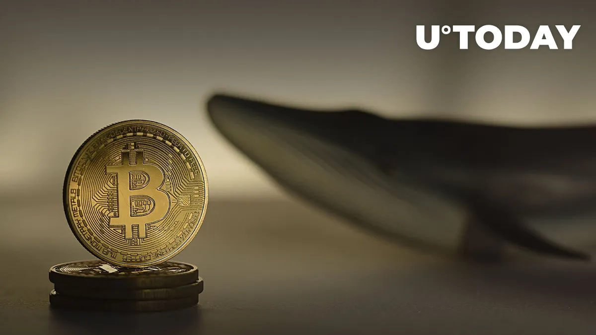 Bitcoin Whales Drastically Reduce Holdings, What's Happening?