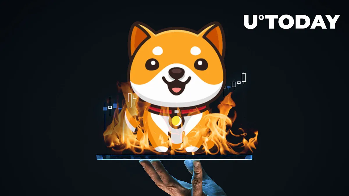 BabyDoge Burns Diminish Those of SHIB by Record 46x as BabyDoge Sticks to Plan