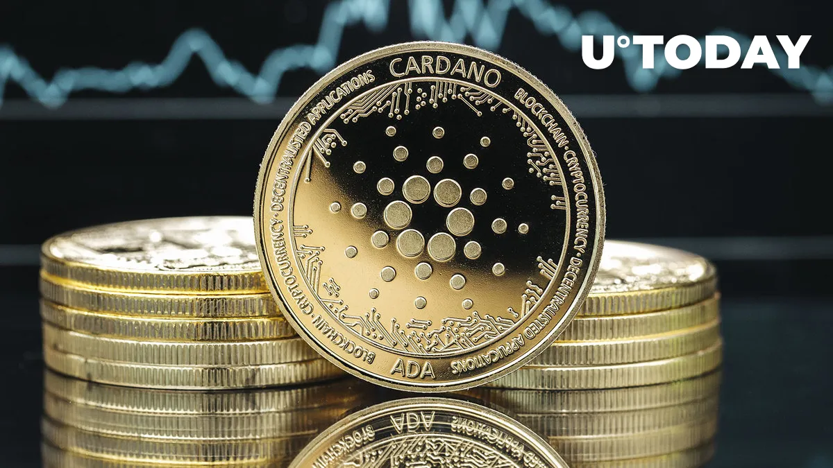 Cardano Reports On-chain Growth in October, Here Are Details