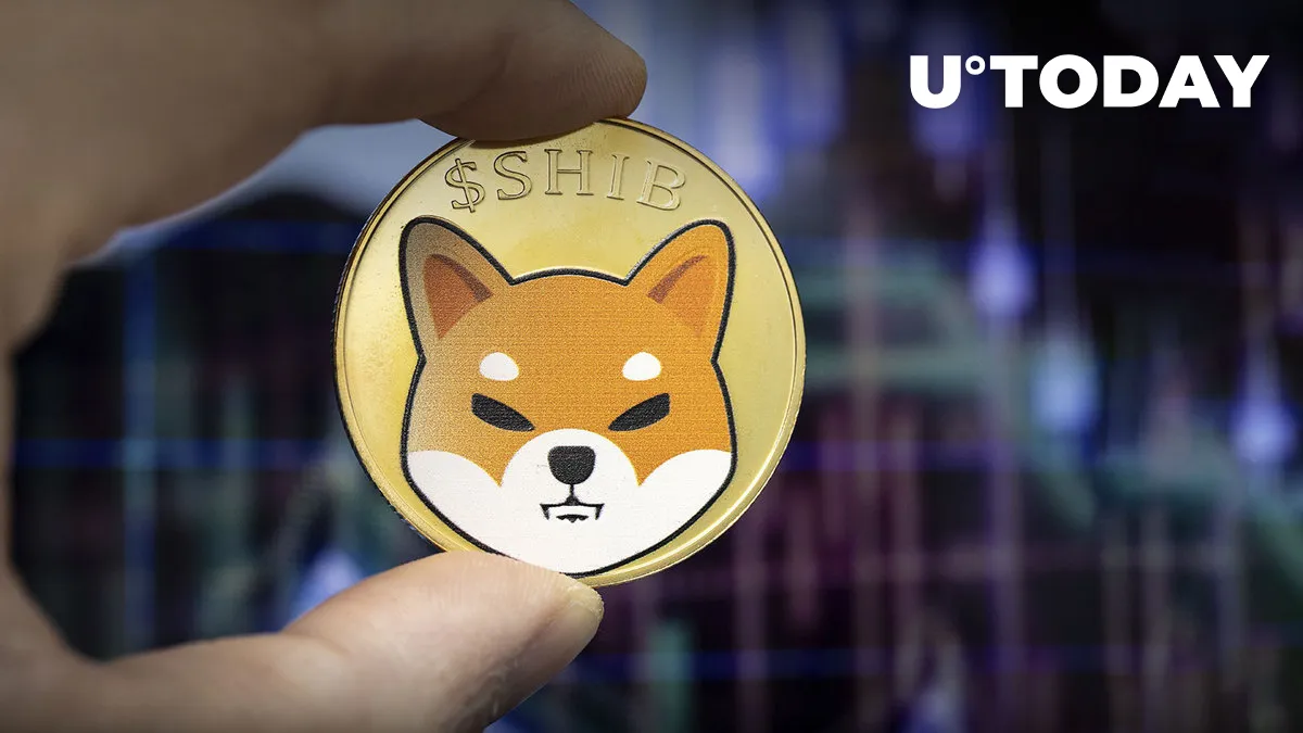 Shiba Inu Shows Strange Trend in This Key Blockchain Metric: Details