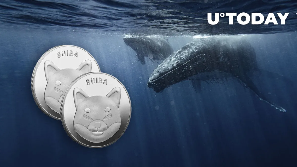 SHIB Seems to Have Crisis with Whales, Here's What It Is