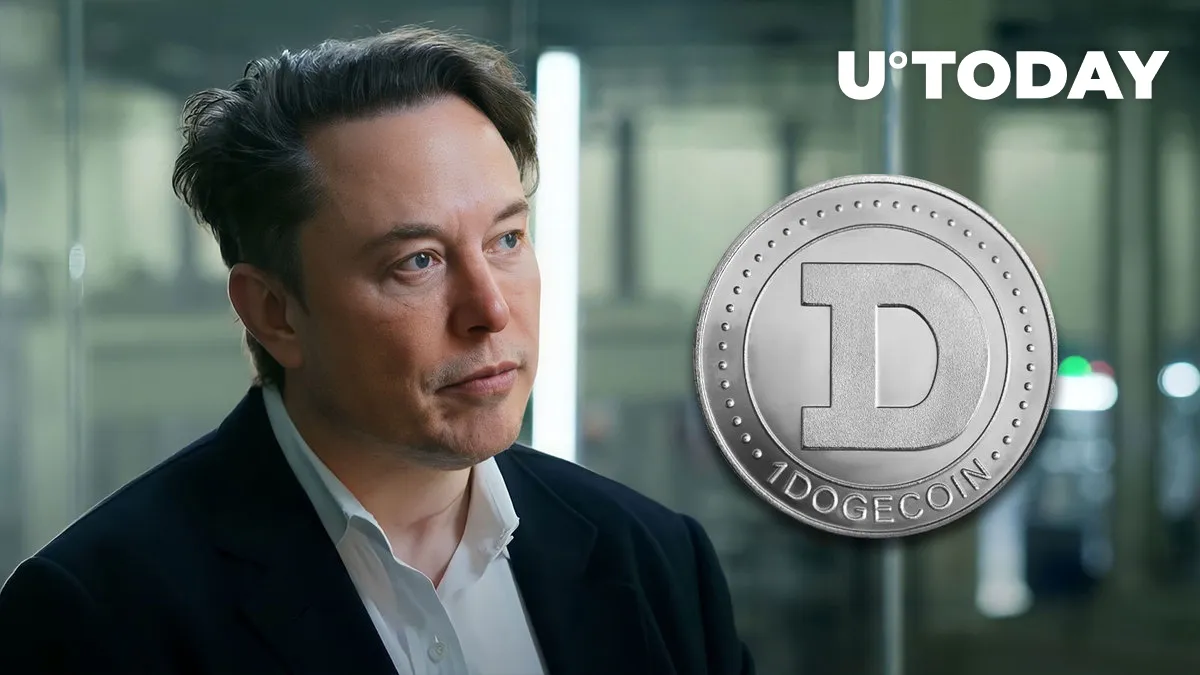 DOGE Did Not Pump on Elon Musk's Words & Thankfully So, Here's Why