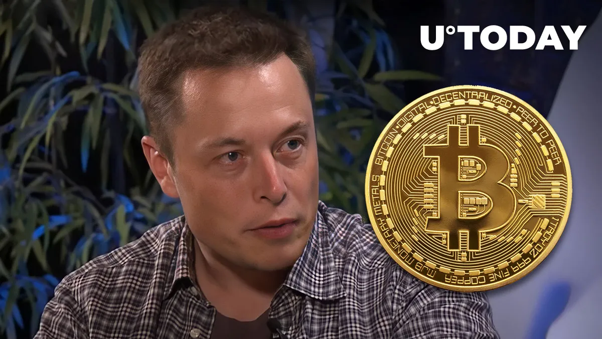 Elon Musk on Bitcoin and What Could Be Stopping It Right Now