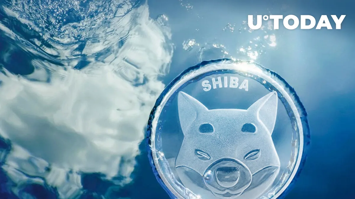 SHIB Price May Have Found Its Bottom, Here's What's Next