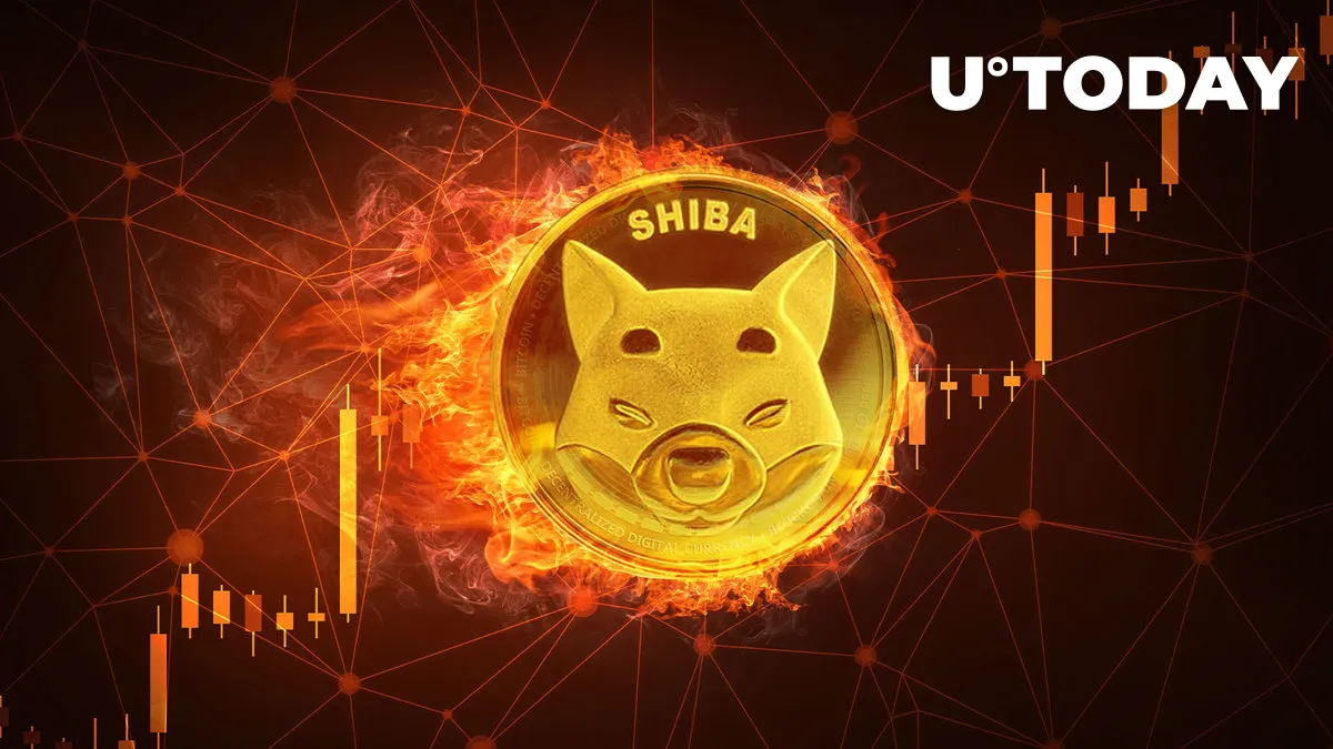 SHIB Burn Rate Rises 100% as Lead SHIB Dev Tweets "I Can Double Down Now"