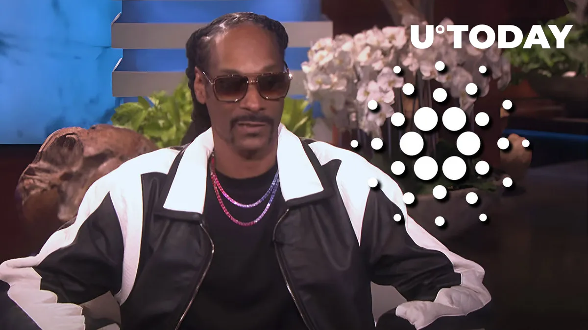 This Cardano NFT Is up 80% in Volume After Snoop Dogg's New Video