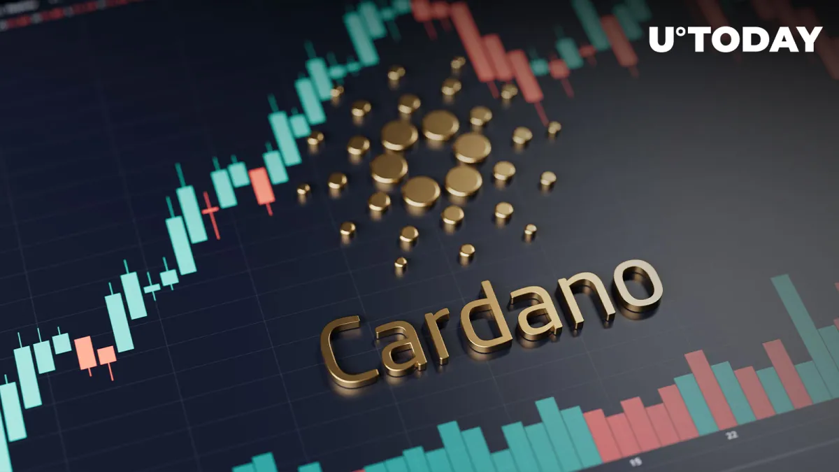 Cardano's Major Blockchain Metric Eyes Significant Increase, Here's What Happened