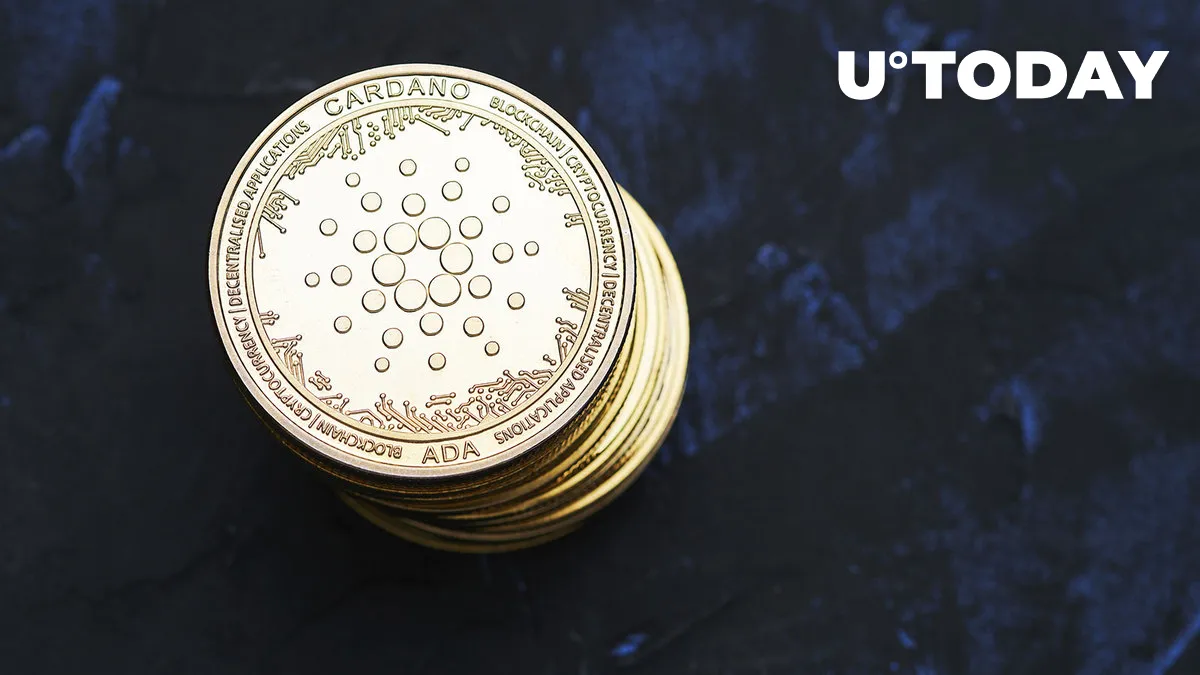 Cardano Stablecoin Djed to Supercharge Own Payment System: Sneak Peek