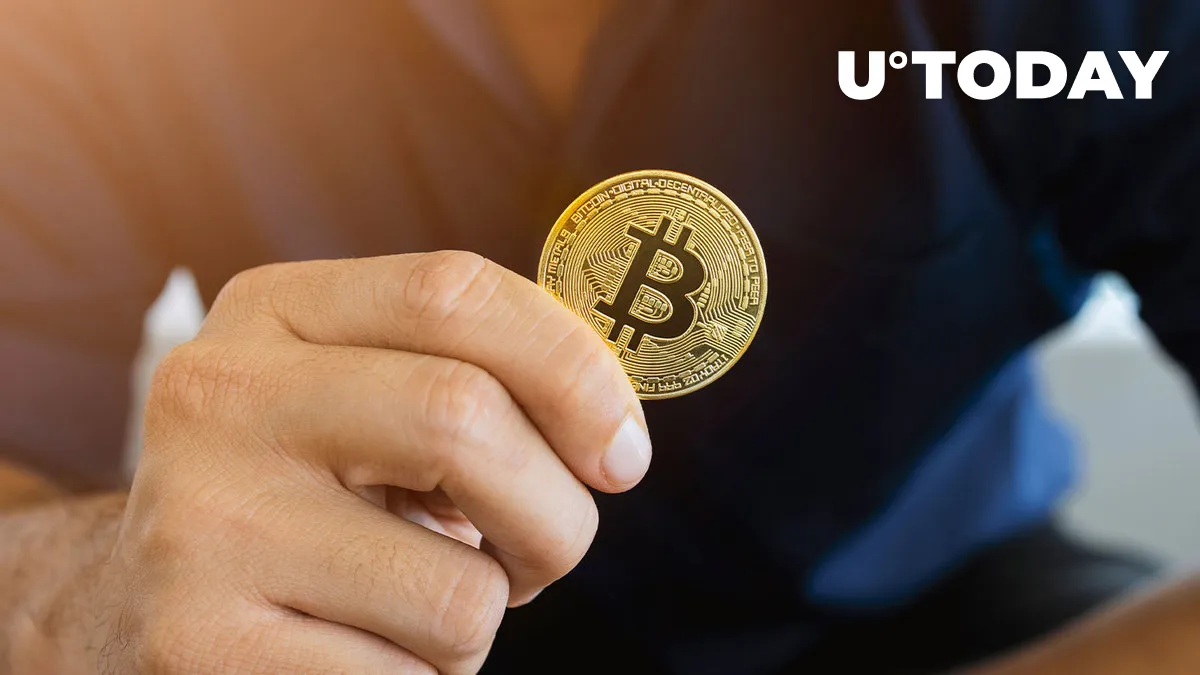Number of Bitcoin Holders at All-time High as Bottom Draws Near: Details