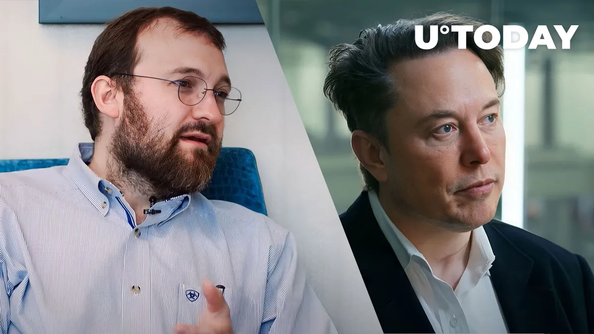Charles Hoskinson Supports Elon Musk, Here's How