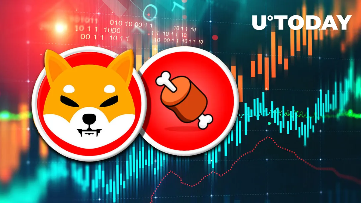 Shiba's BONE Soars 12% as This New York Exchange Lists It