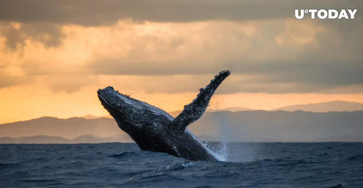 Ancient Ethereum (ETH) Whale Address Activated After Seven Years